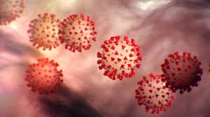Primary Health seeing big spike in COVID cases in children